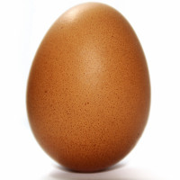 Avatar de Oeuf