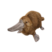 Avatar de Ornithorynque