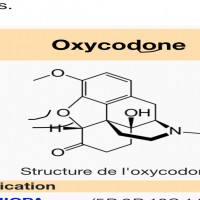 Avatar de Oxycodin