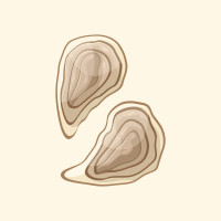 Avatar de Oyster