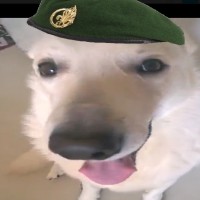 Avatar de PATATEDEFOR1
