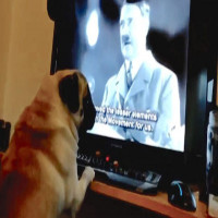 Avatar de PUG