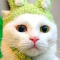 Avatar de Paturette