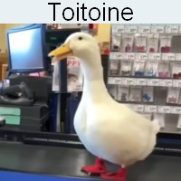 Avatar de PetitAutiste
