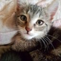 Avatar de PetitMinou
