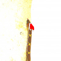 Avatar de PetiteCouleuvre