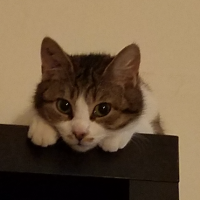 Avatar de PetiteMignonne