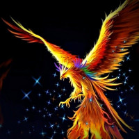 Avatar de Phoenix13