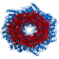 Avatar de Proteasome