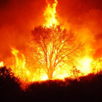 Avatar de Pyromane