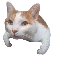 Avatar de Quinquin