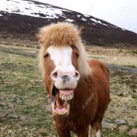 Avatar de Rabibocheur