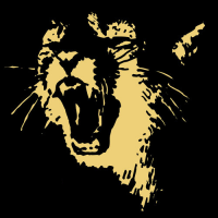 Avatar de Ratatat