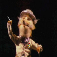 Avatar de Renard
