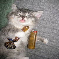 Avatar de Rezifeur