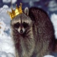 Avatar de Roi-Coon