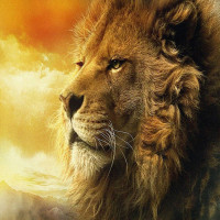Avatar de RoiLion