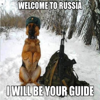 Avatar de Rossiya