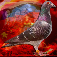 Avatar de RourouKiloton