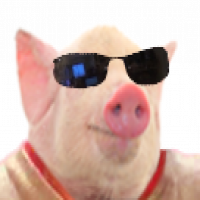 Avatar de Saigneurdesanus