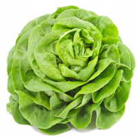 Avatar de Salade