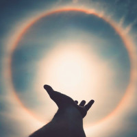 Avatar de Salvation