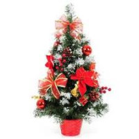 Avatar de Sapin