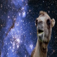Avatar de Saturn