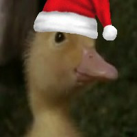 Avatar de Saturnin