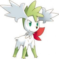 Avatar de Shaymin