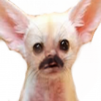 Avatar de Shniggles