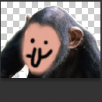 Avatar de Simiasque