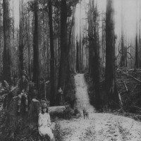 Avatar de SlenderMan