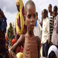Avatar de SomalieRachitik
