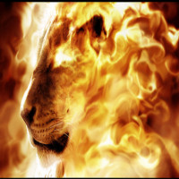 Avatar de Sorcier