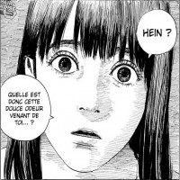 Avatar de Sphingidae