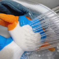 Avatar de Swampert