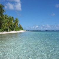Avatar de Tahiti