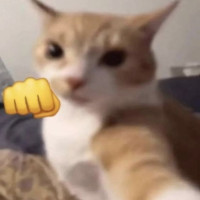 Avatar de Tarska