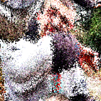 Avatar de TeufixConfus