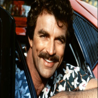 Avatar de TomSelleck
