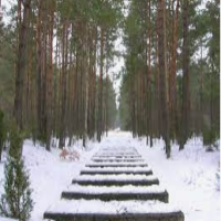 Avatar de Treblinka