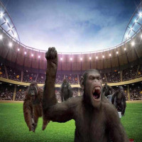 Avatar de Tricouilles