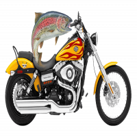 Avatar de TruiteMoteur