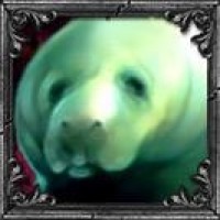 Avatar de Urf
