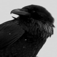 Avatar de Vasko