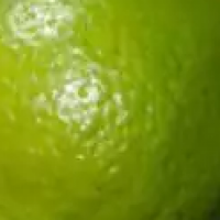 Avatar de Vert