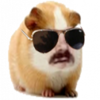 Avatar de WilliWonki