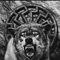 Avatar de Wolfkrieg
