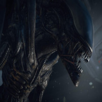 Avatar de Xenomorphe
